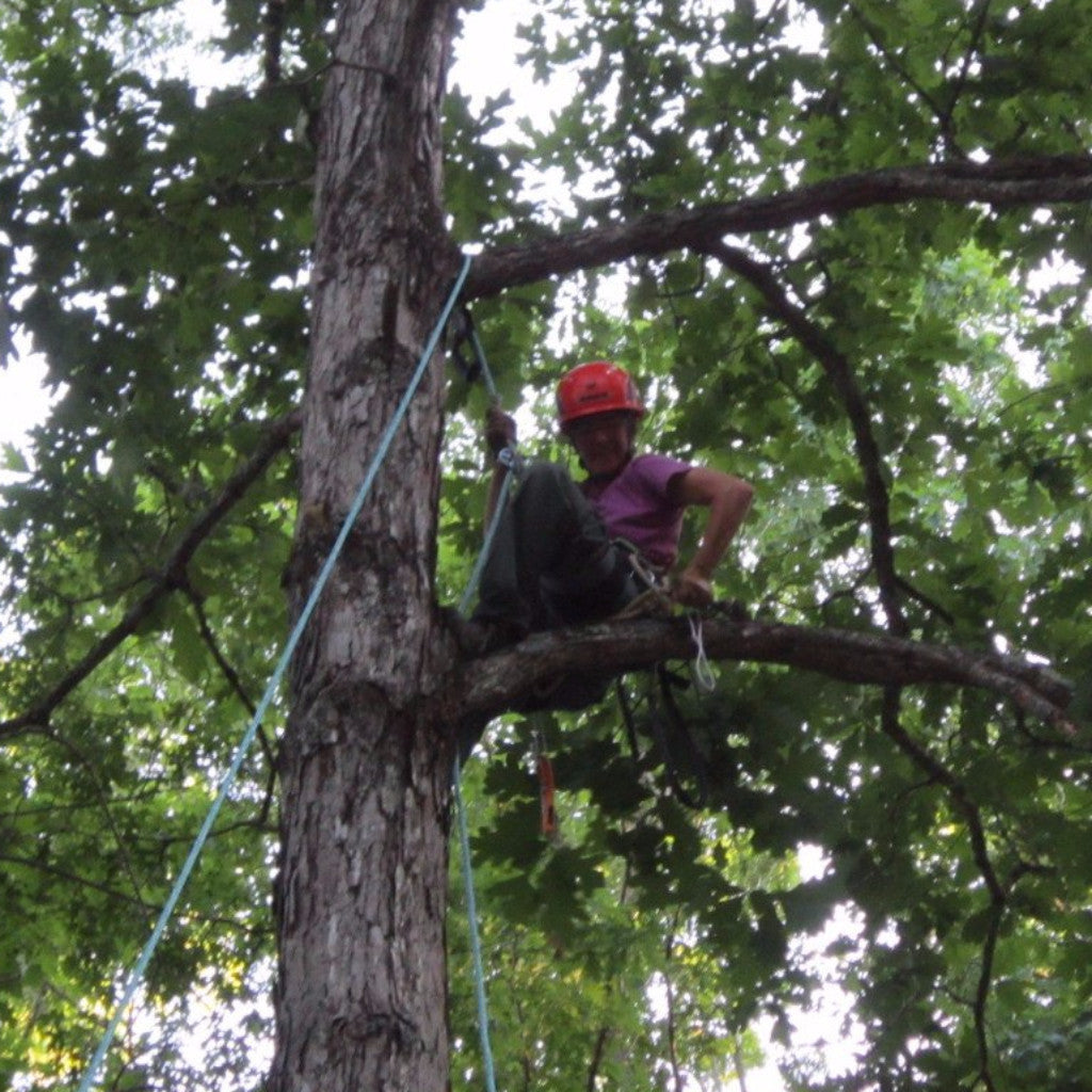 WeatherWool Advisor Caroline