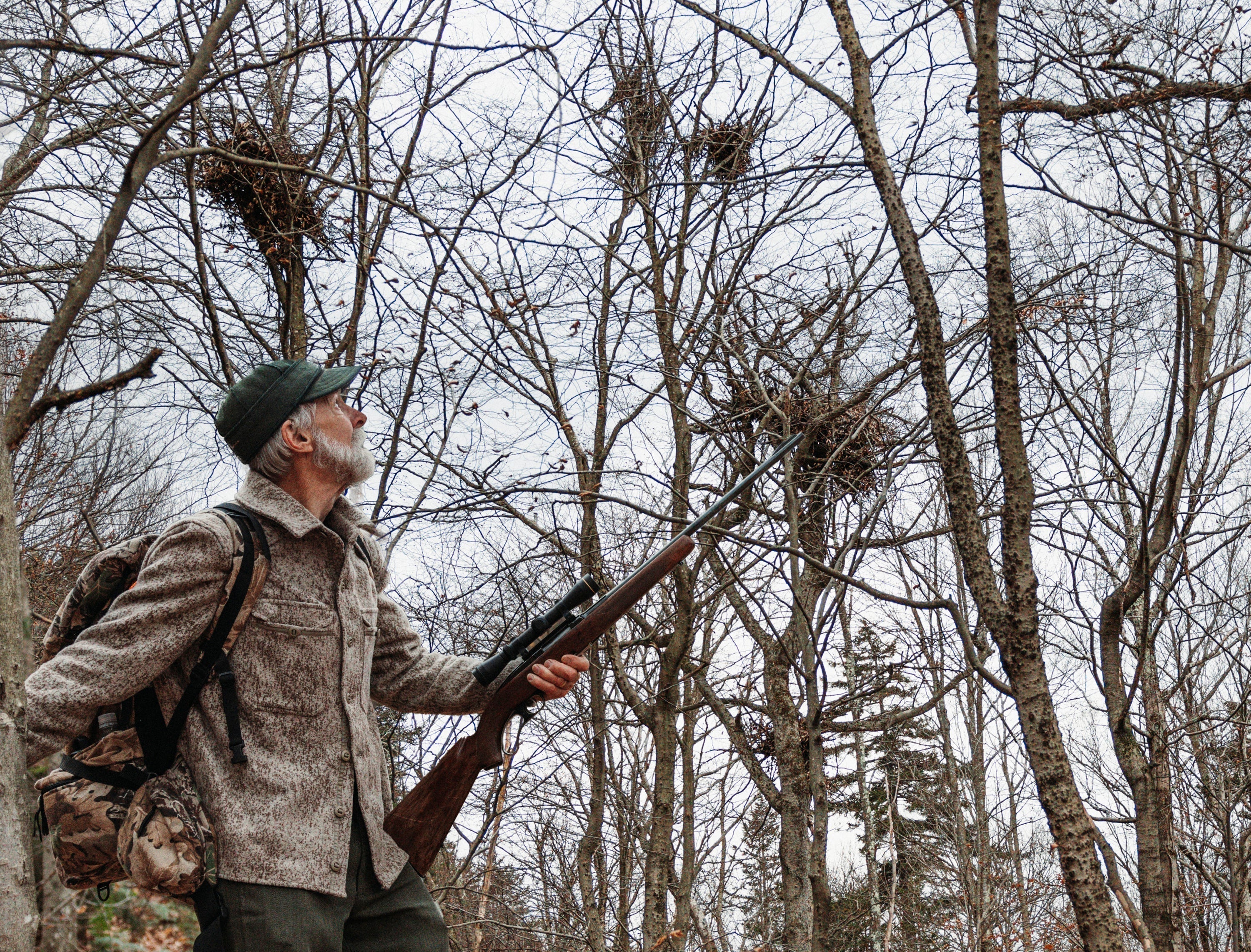 “Wait… Black Bears Make Nests?”