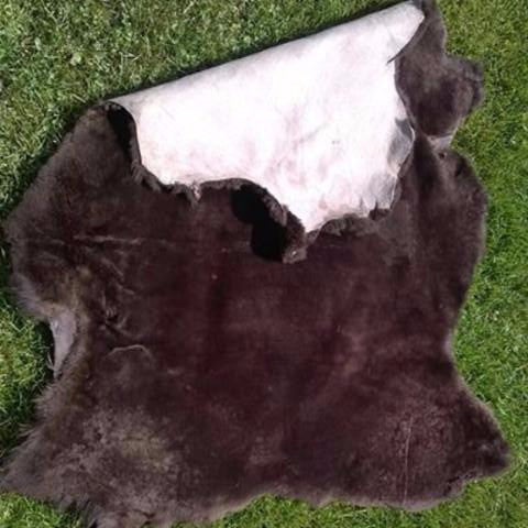 WeatherWool uses real Mouton, the plushest true fleece, to line the inside of our Mouton Jacket, Vest, Hat and Muff. No plastic here! Here, Mouton Pelt showing back hide