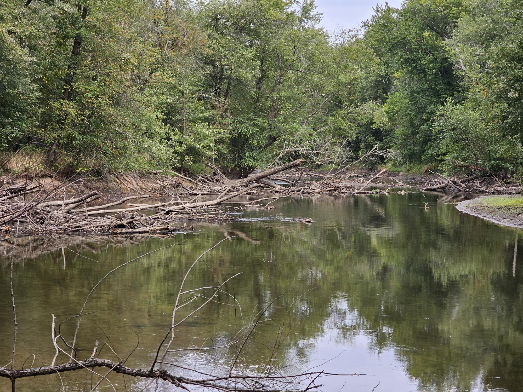 Our place in the New Jersey Swamps, just outside New York City, is a great place to test WeatherWool, to film and photograph, forage, fish, hunt and just to appreciate Nature.